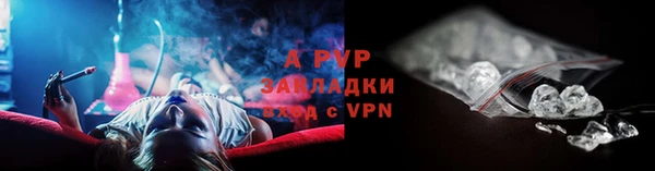 шишки Козельск