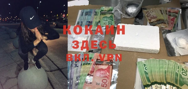 шишки Козельск