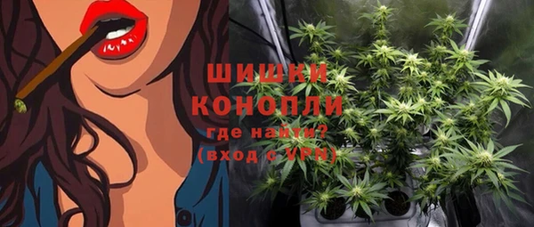 шишки Козельск